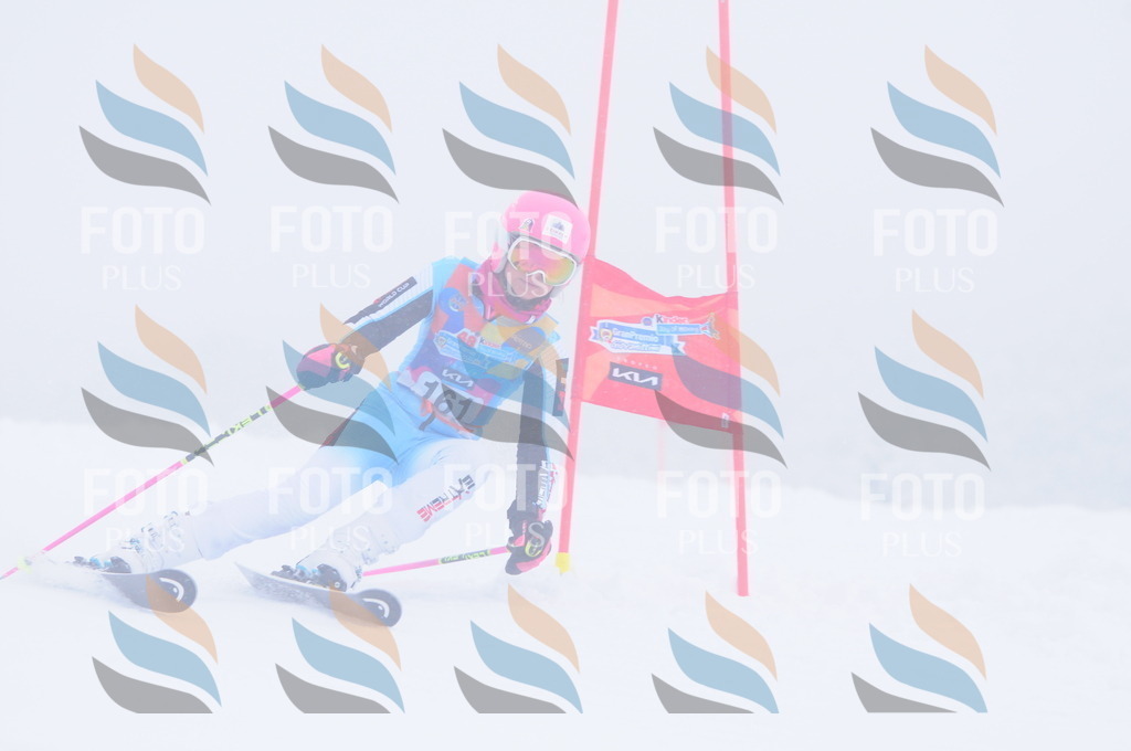 C1907 | holidayphoto