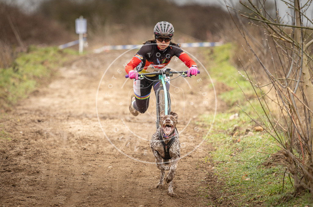 DV3A1251 | Hundefotografie, Tierfotograf, Pfotenfotografie, Fotoshooting Hund, Hunde Portrait, Hundesport, Hundeportraits, Heideshooting, Hunde, Sportfotograf, Hundefotograf, Turnierhundsport, THS,  - Realisiert mit Pictrs.com