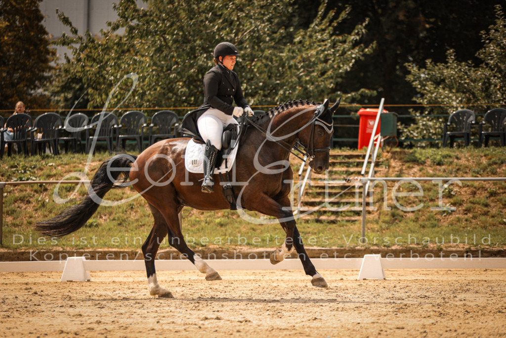 19.FrDrS00341 | Leoni Ertmer Photography - Realisiert mit Pictrs.com