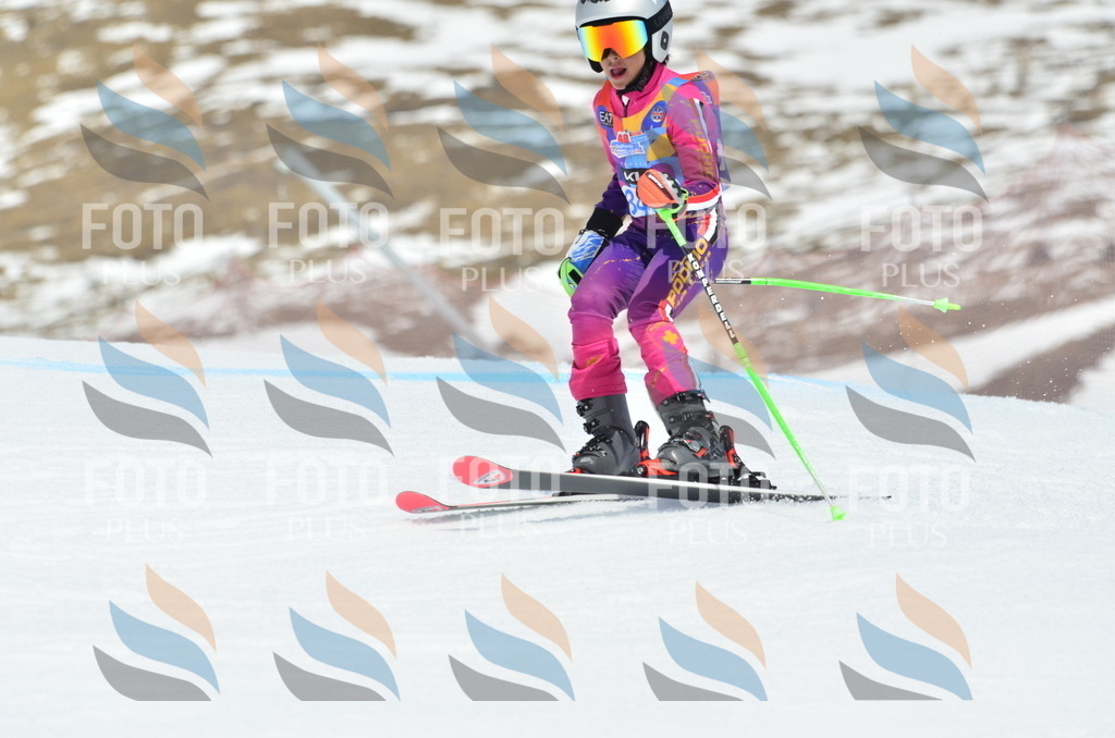 _ELE2623 | holidayphoto