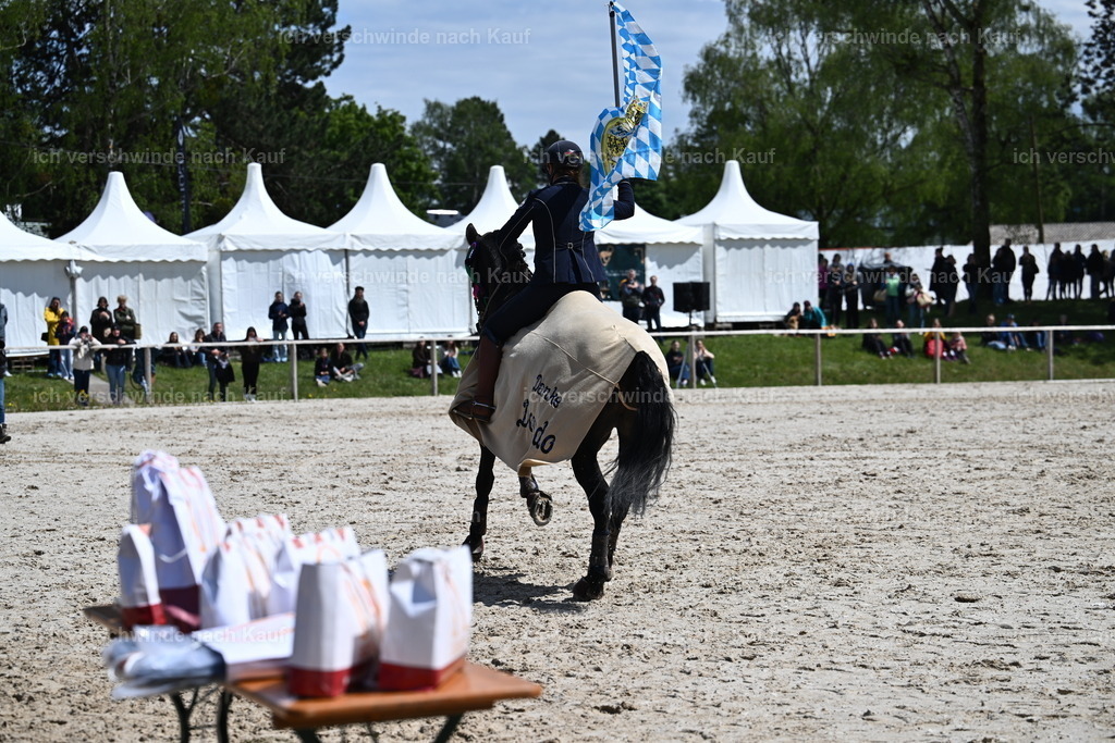 PI26_GesamtSEhrung_Sara_Landvogt_226_6123.JPG | working equitationturnier fotograf videograf stoibphotography marixx film working equitation deutschland reitsport turnierfotografie eventfotografie equestrian events