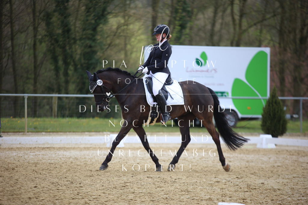 IMGT7047 | pl-fotografie