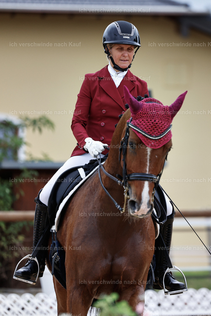04_1-149-Dressur M__ -StoibPH-StoibPH-2616 | working equitationturnier fotograf videograf stoibphotography marixx film working equitation deutschland reitsport turnierfotografie eventfotografie equestrian events