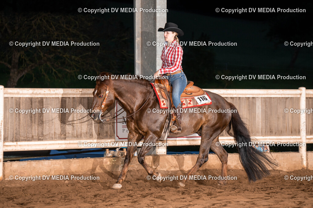 Erbach Tag 1-1233 | dv-media-shop - Realisiert mit Pictrs.com