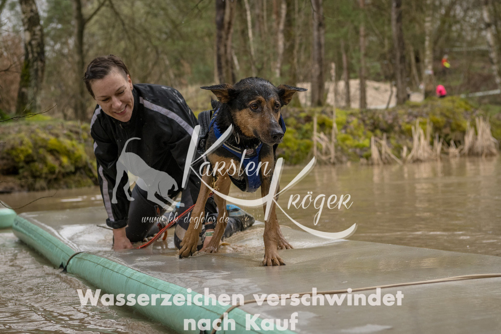 1328_ZZ90579-Bearbeitet | kk-dogfotos