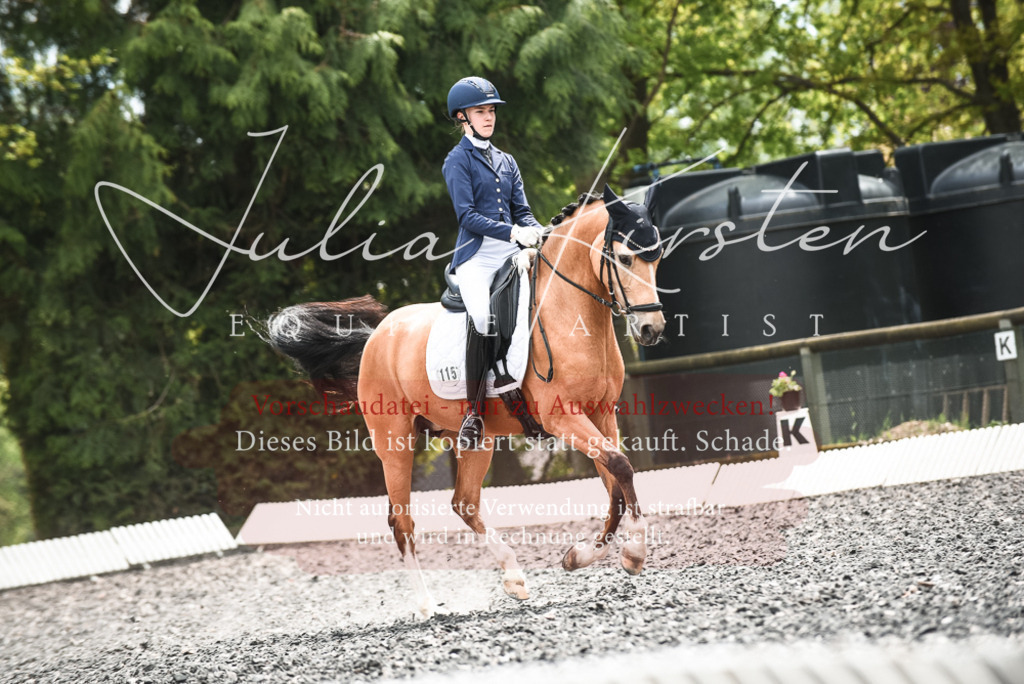 20230514_JK-Röhrsdorf-24-320 | Pferde- und Turnierfotografie in Westsachsen. Pferdeportraits, Auftragszeichnungen und intuitive Kunst.