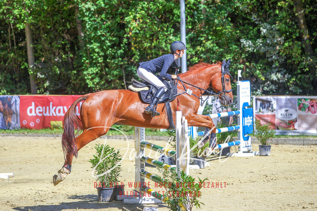 DKP43125 | Turniersportfotografie; Pferdefotografie; Dressurfotografie