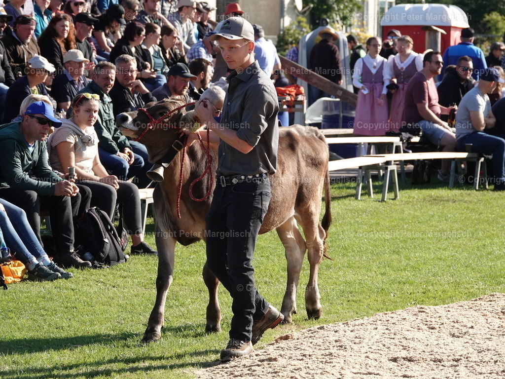 DSC05557 | Schwingen - Realisiert mit Pictrs.com