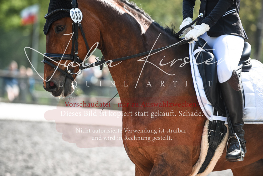 DSC_8931 | Pferde- und Turnierfotografie in Westsachsen. Pferdeportraits, Auftragszeichnungen und intuitive Kunst.