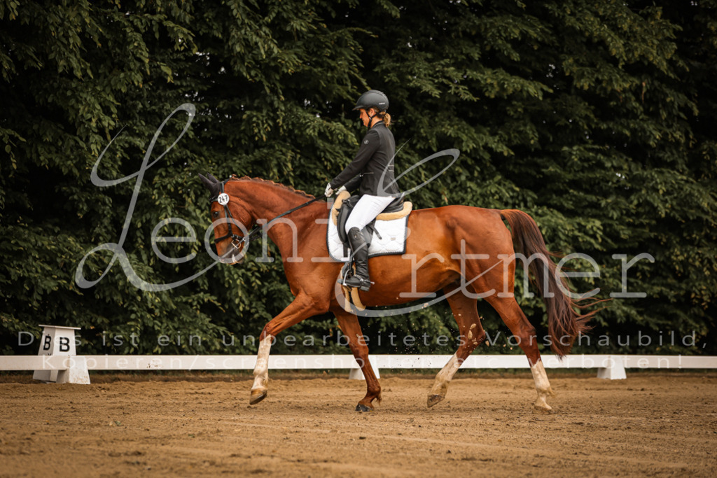 DoDrA00062 | Leoni Ertmer Photography - Realisiert mit Pictrs.com