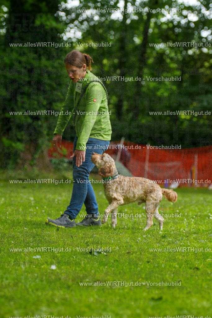 @allesWIRTHgut_Tierfotografie - www.allesWIRTHgut.de - 092135-7R506969 | Professionelle Tierfotografie in Mönchengladbach von Daniel Wirth (allesWIRTHgut). Liebevolle & natürliche Bilder von Hunden & Katzen für unvergessliche Erinnerungen.
