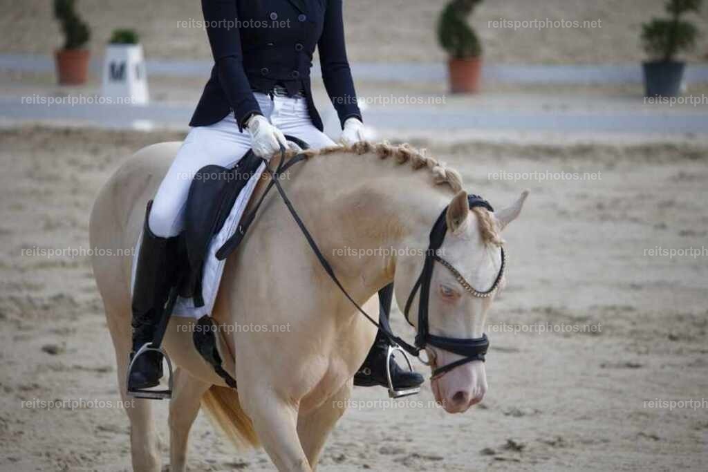 JHE_4347 | JoYa Fotografie - Realisiert mit Pictrs.com