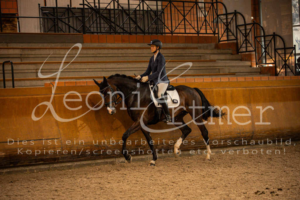 2Reiten00333 | Leoni Ertmer Photography - Realisiert mit Pictrs.com
