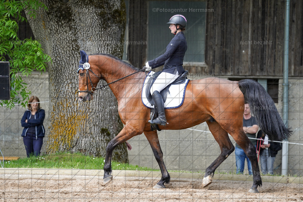 20240519-FAH05136 | Turnierbilder Niederseeon 2024, Vielseitigkeitsdressur, Reitsportbilder aus dem Landkreit Ebersberg, Gut Steinsee, RC Steinsee, Fotoagentur Herrmann