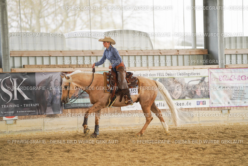 DSC05900 | Pferdegrafie