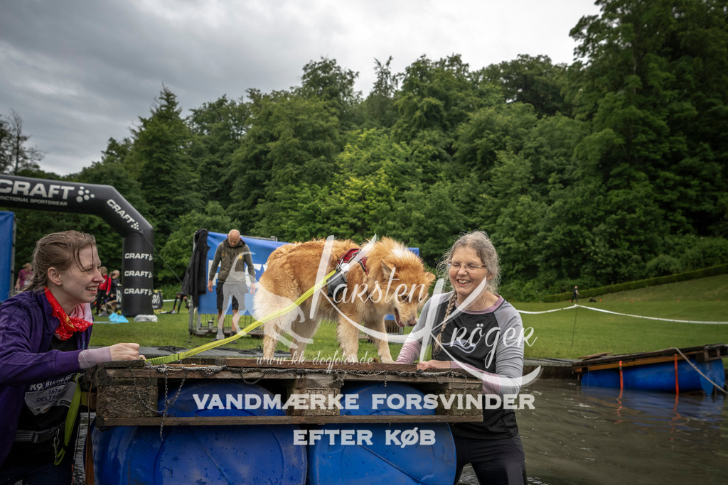 1619_ZZ96880-2 | kk-dogfotos