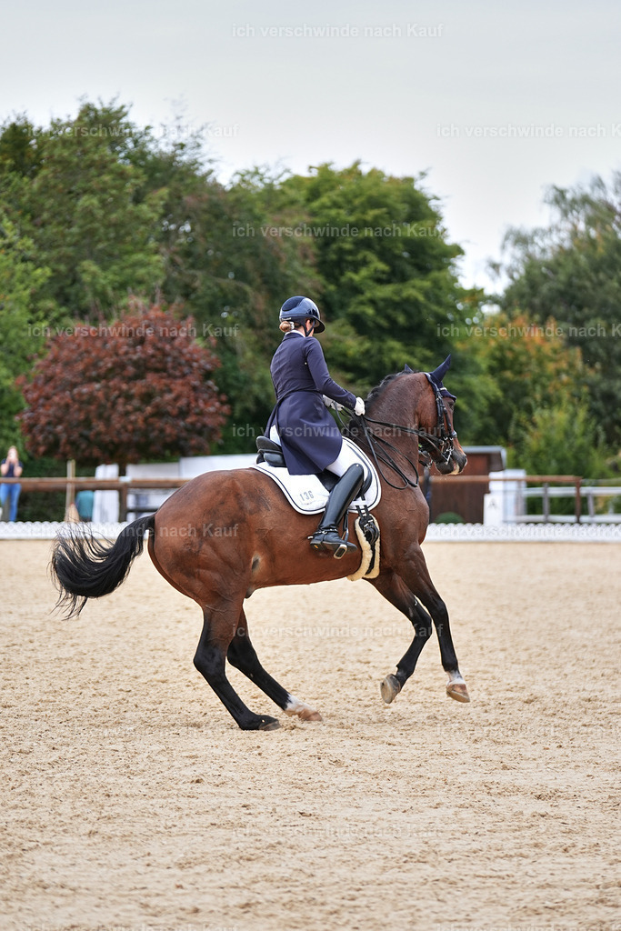 11-036-Dressur S___-Marixx-1508 | working equitationturnier fotograf videograf stoibphotography marixx film working equitation deutschland reitsport turnierfotografie eventfotografie equestrian events