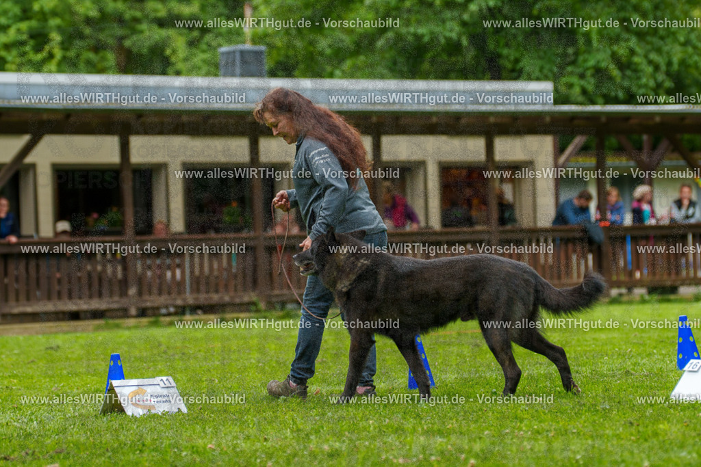 @allesWIRTHgut_Tierfotografie - www.allesWIRTHgut.de - 135549-7R500200 | Professionelle Tierfotografie in Mönchengladbach von Daniel Wirth (allesWIRTHgut). Liebevolle & natürliche Bilder von Hunden & Katzen für unvergessliche Erinnerungen.