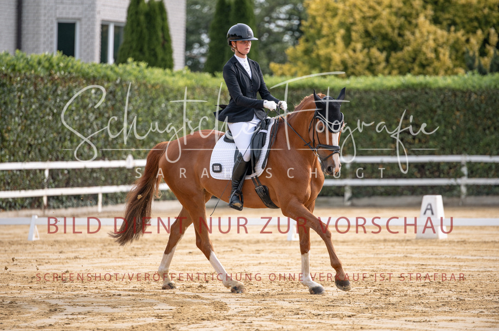 Schugtsche-Aluta25-40.DressurprfA_-115 | Schugtsche Fotografie - Realisiert mit Pictrs.com