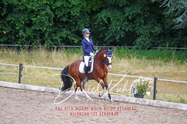 DKP47026 | Turniersportfotografie; Pferdefotografie; Dressurfotografie