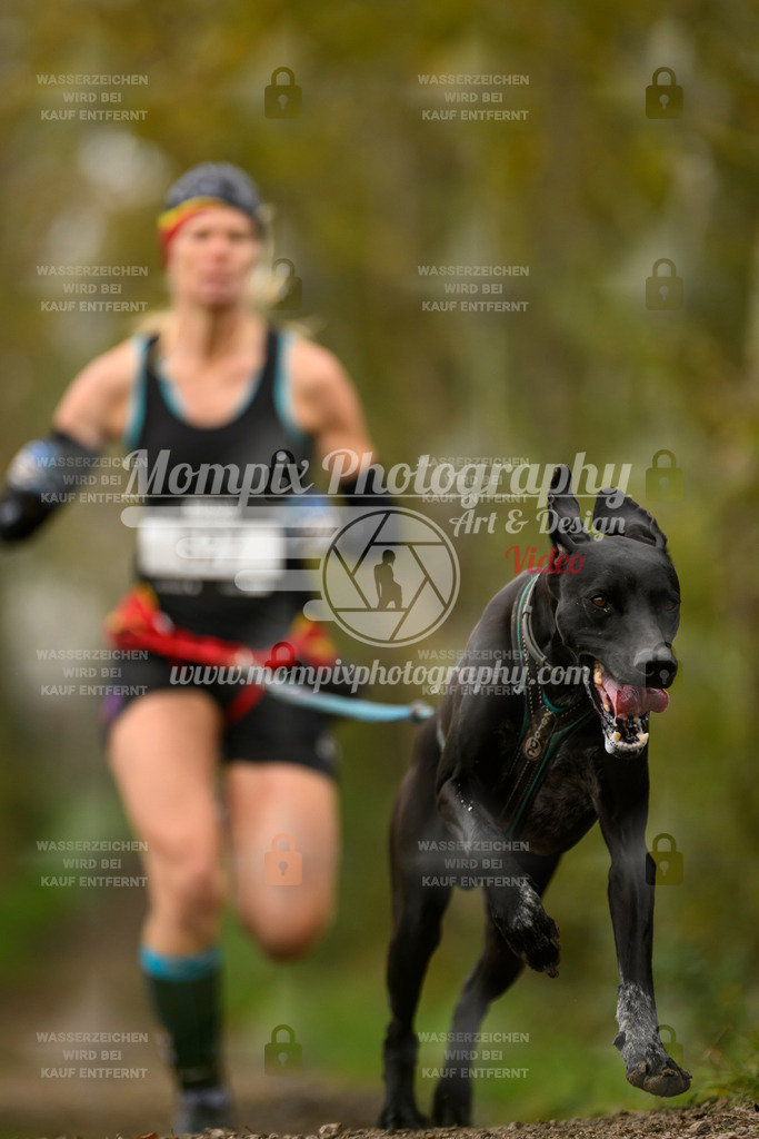 MompixPhotography_20TSB_E6_Run-156 | PayLife