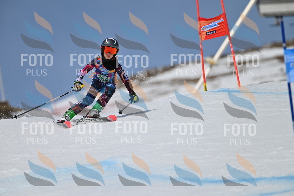 BGV_7186 | holidayphoto