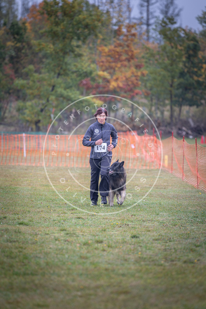 Pfotenfotografie_DV3A9229 | Hundefotografie, Tierfotograf, Pfotenfotografie, Fotoshooting Hund, Hunde Portrait, Hundesport, Hundeportraits, Heideshooting, Hunde, Sportfotograf, Hundefotograf, Turnierhundsport, THS,  - Realisiert mit Pictrs.com