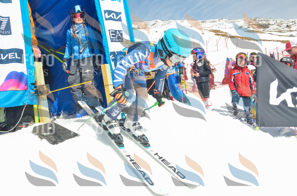 _ELE6462 | holidayphoto