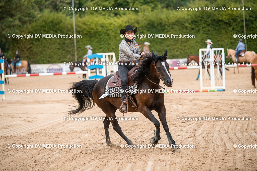 ZS2_8737 | dv-media-shop - Realisiert mit Pictrs.com