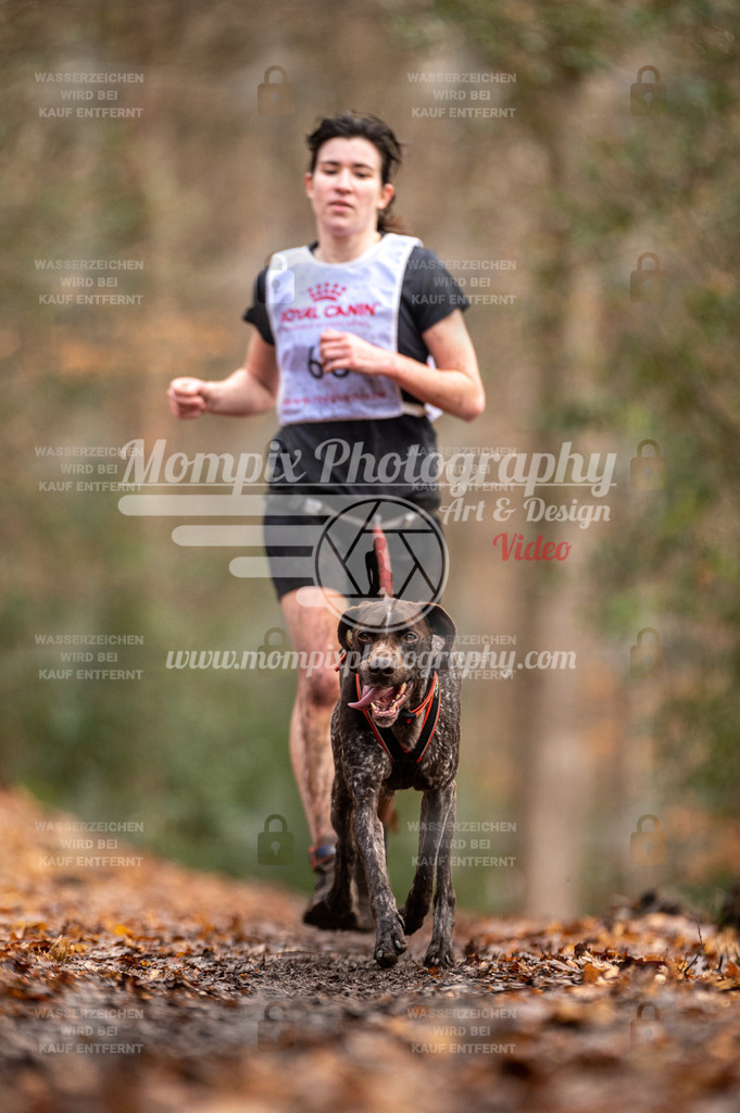 SPA_2023_DIM_CCL-128 | PayLife