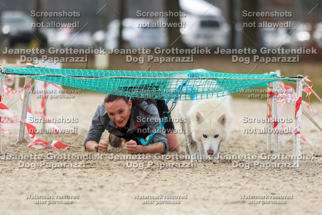 Dog Paparazzi - Strongdog North Mrz26-5685 | Dog Paparazzi Jeanette Grottendiek Fotografie & Videografie - Realisiert mit Pictrs.com