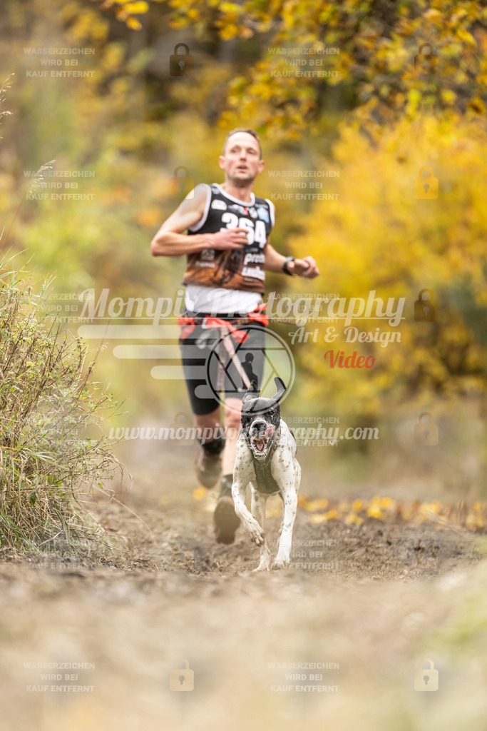 MompixPhotography_ICF_WC_2024_SA_Run_-303 | PayLife