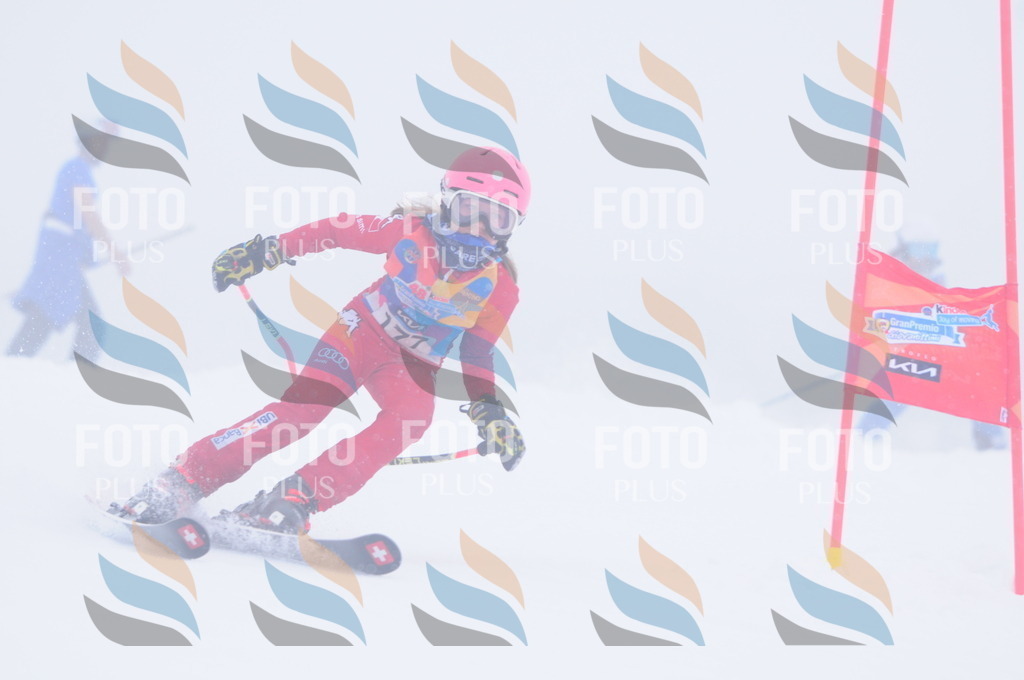 C2047 | holidayphoto