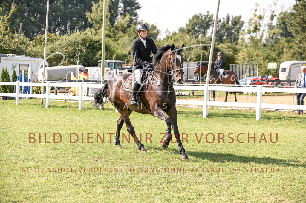 Schugtsche-Düren.2024-10.Springprf.M_-73 | Schugtsche Fotografie - Realisiert mit Pictrs.com