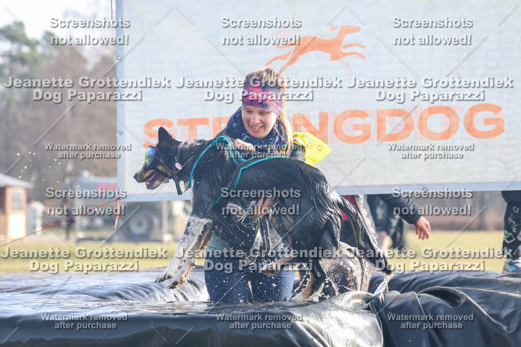 Dog Paparazzi - Strongdog North Mrz26-170 | Dog Paparazzi Jeanette Grottendiek Fotografie & Videografie - Realisiert mit Pictrs.com