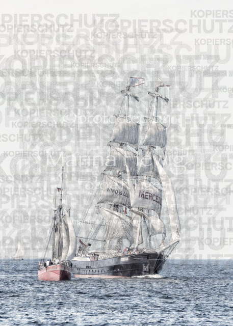 Mercedes-21 | Fotografie, FotoArt, PferdesportArt, Pferdesportfotografie, Landschaftsfotografie, Reisefotografie, Reise, Pferde - Realisiert mit Pictrs.com