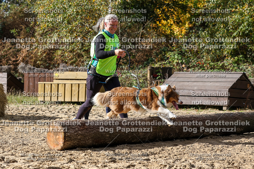 Dog Paparazzi - Strongdog 10-25-5601 | Dog Paparazzi Jeanette Grottendiek Fotografie & Videografie - Realisiert mit Pictrs.com