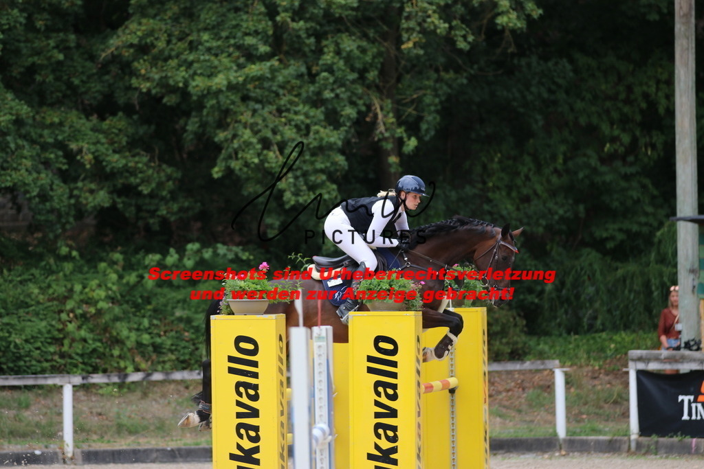 IMG_2322 | lmwpictures - Realisiert mit Pictrs.com