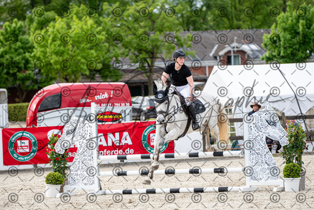 KPT_7069 | andre_photographic