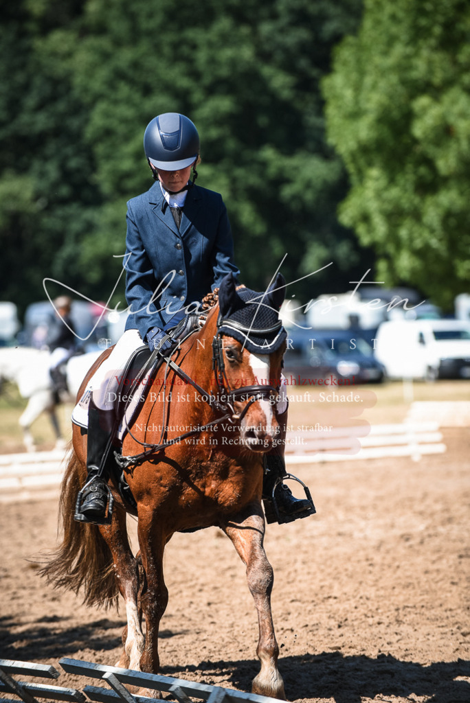 DSC_3540 | Pferde- und Turnierfotografie in Westsachsen. Pferdeportraits, Auftragszeichnungen und intuitive Kunst.