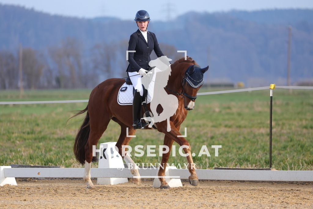 0P6A5928 | Willkommen bei Brunnmayr - Design & Fotografie – Ihrem Spezialisten für Reitturniere und Pferdeveranstaltungen in Oberösterreich, Salzburg und Bayern! Seit über 17 Jahren sind wir leidenschaftlich dabei.