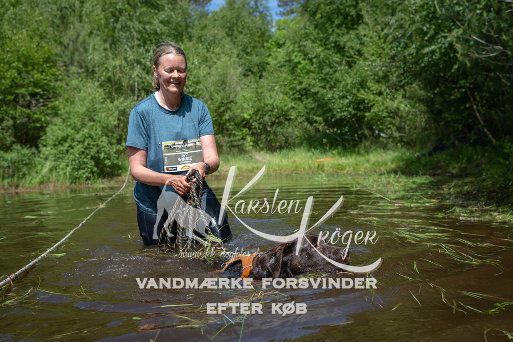 1202DKK991567 | kk-dogfotos