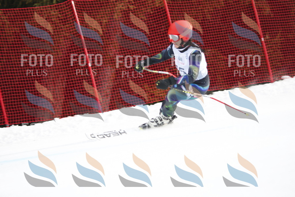 D4806 | holidayphoto