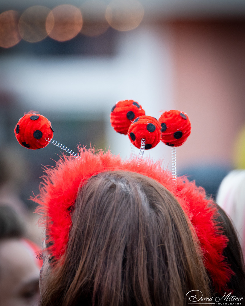Die Mainzer Fastnacht | Die Mainzer Fastnacht