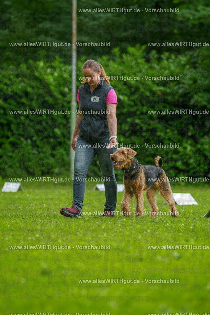 @allesWIRTHgut_Tierfotografie - www.allesWIRTHgut.de - 123823-7R509209 | Professionelle Tierfotografie in Mönchengladbach von Daniel Wirth (allesWIRTHgut). Liebevolle & natürliche Bilder von Hunden & Katzen für unvergessliche Erinnerungen.