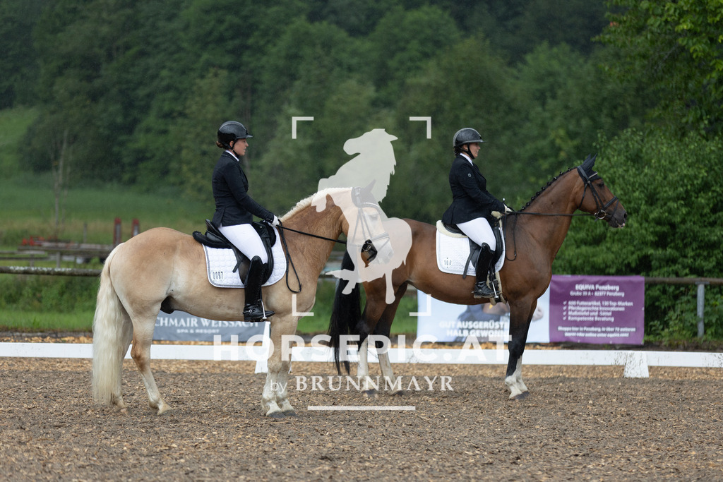 0P6A7696 | Willkommen bei Brunnmayr - Design & Fotografie – Ihrem Spezialisten für Reitturniere und Pferdeveranstaltungen in Oberösterreich, Salzburg und Bayern! Seit über 17 Jahren sind wir leidenschaftlich dabei.