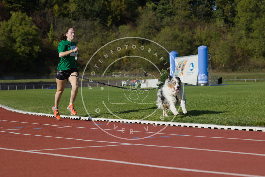 0L8A9713 | Hundefotografie, Tierfotograf, Pfotenfotografie, Fotoshooting Hund, Hunde Portrait, Hundesport, Hundeportraits, Heideshooting, Hunde, Sportfotograf, Hundefotograf, Turnierhundsport, THS,  - Realisiert mit Pictrs.com