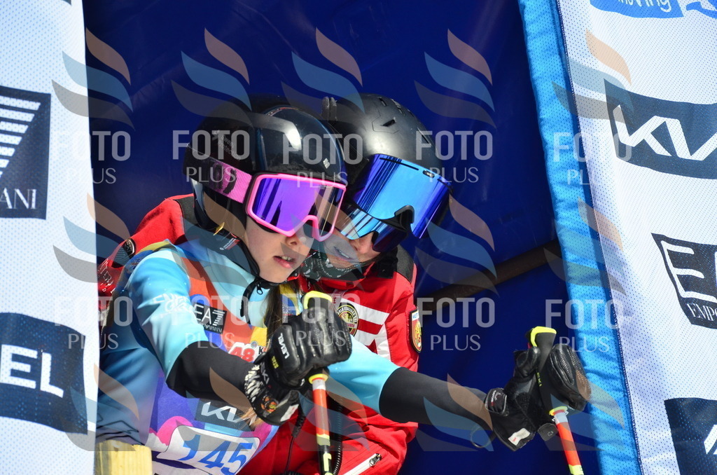 _ELE0943 | holidayphoto