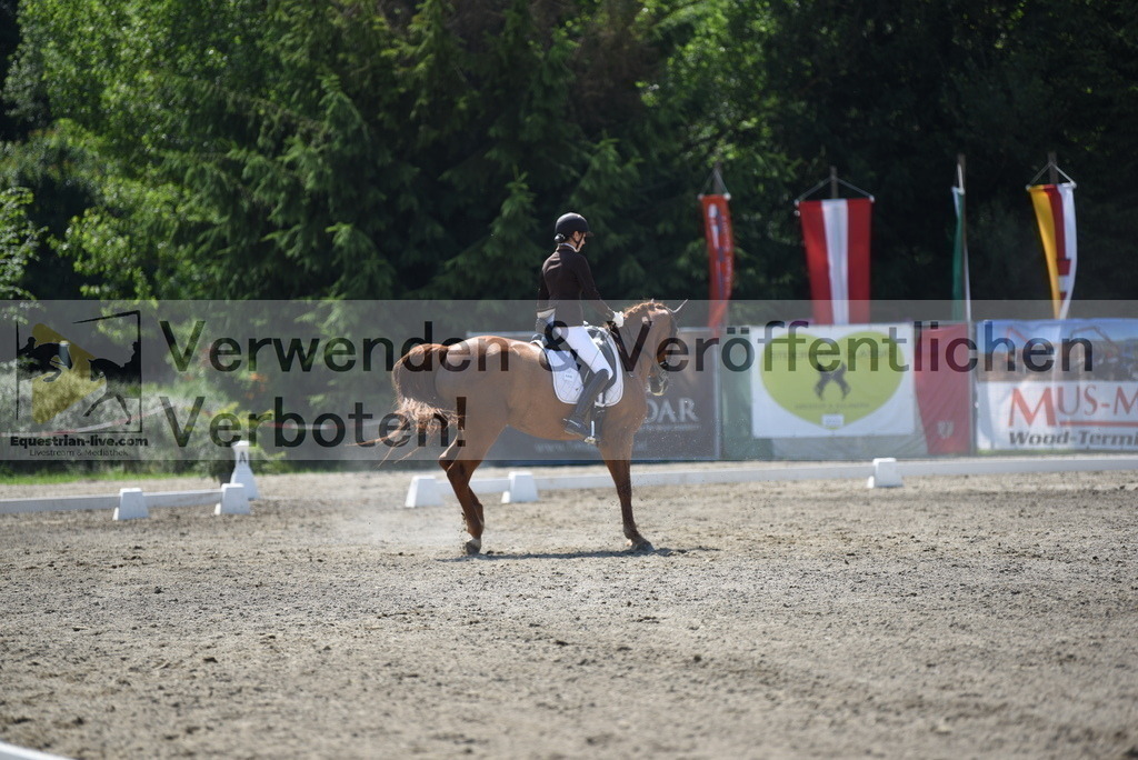 DSC_1460 | equestrian-live-com