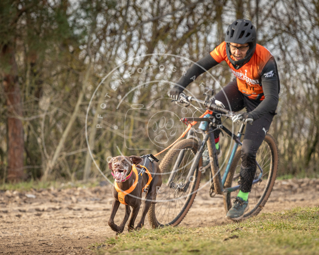 Pfotenfotografie_DV3A7609 | Hundefotografie, Tierfotograf, Pfotenfotografie, Fotoshooting Hund, Hunde Portrait, Hundesport, Hundeportraits, Heideshooting, Hunde, Sportfotograf, Hundefotograf, Turnierhundsport, THS,  - Realisiert mit Pictrs.com